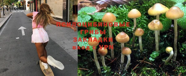 соль курить ск Белокуриха