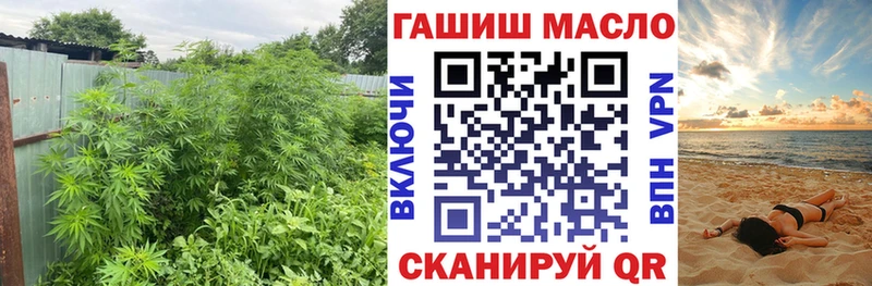 сколько стоит  Великие Луки  ТГК THC oil 