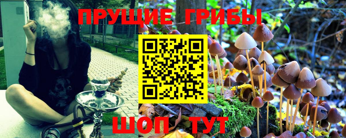 ГАШ Великие Луки