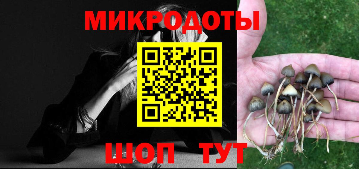 Галлюциногенные грибы MAGIC MUSHROOMS Великие Луки